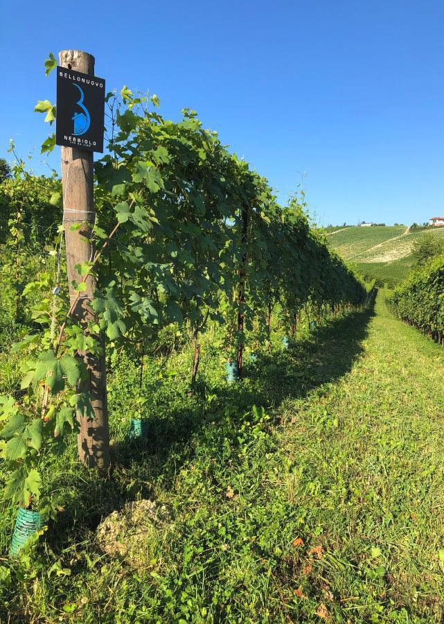 Cascina Bellonuovo Alba  Exterior foto